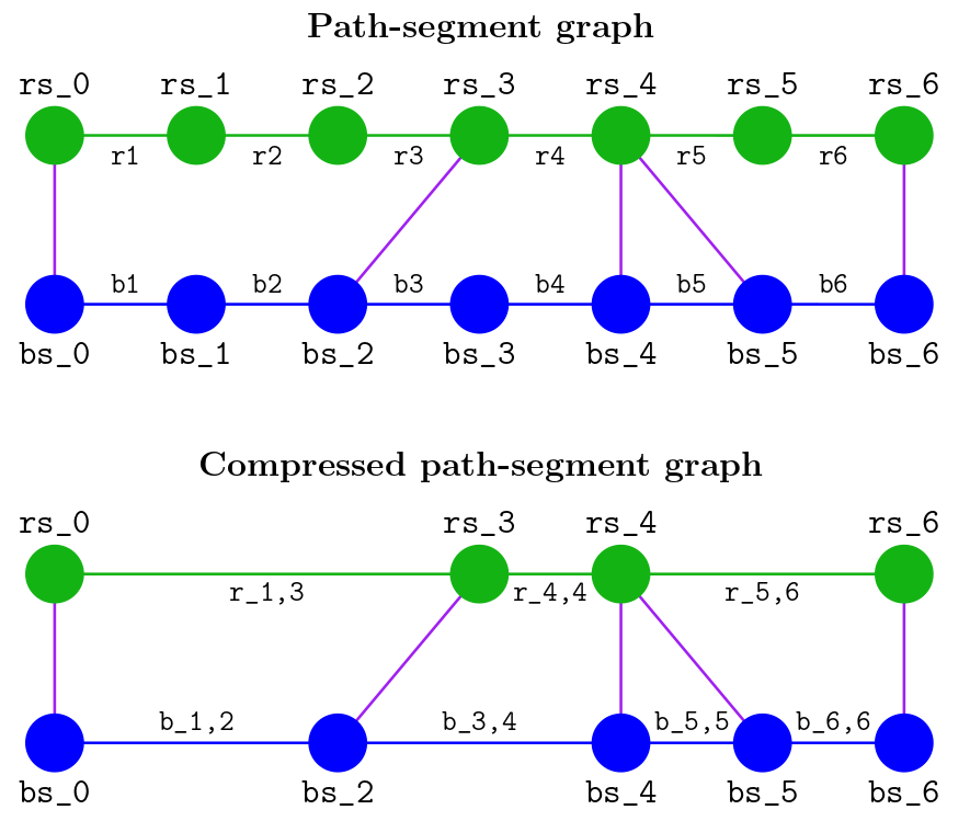 Compressed path segment graph